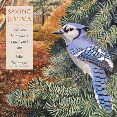 Saving Jemima - 