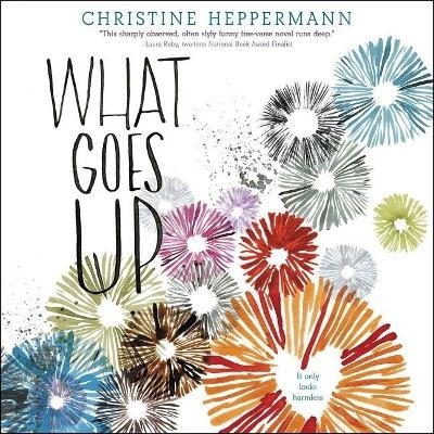 What Goes Up - Christine Heppermann