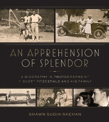 An Apprehension of Splendor - Shawn Sudia-Skehan