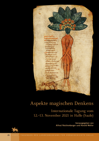 Aspekte magischen Denkens (Tagungen des Landesmuseums für Vorgeschichte Halle 29)