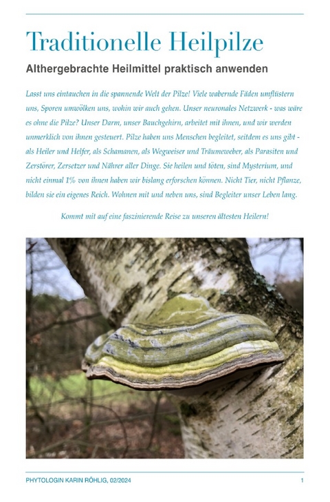 Heilpilze Kurs 2024 - Seminarinternes Skript - Karin R&ouml;hlig