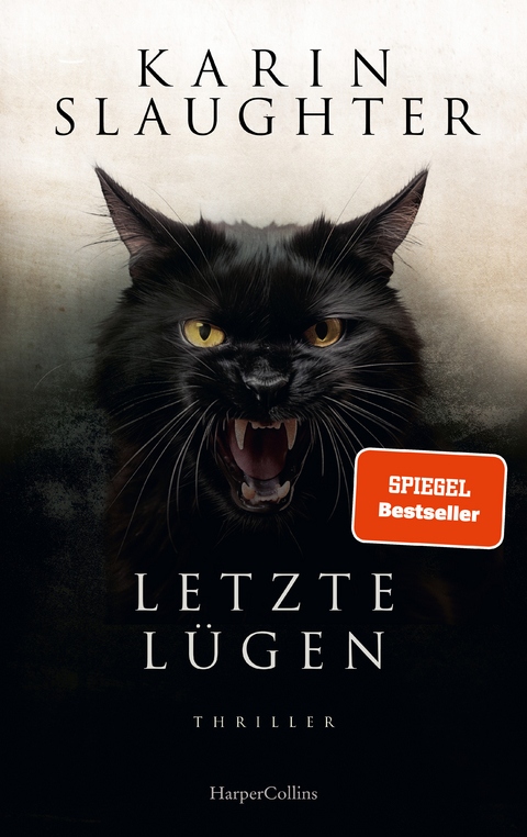 Letzte L&uuml;gen - Karin Slaughter
