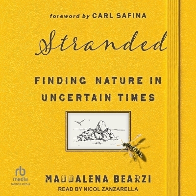 Stranded - Maddalena Bearzi