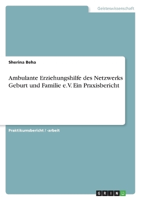 Ambulante Erziehungshilfe des Netzwerks Geburt und Familie e.V. Ein Praxisbericht