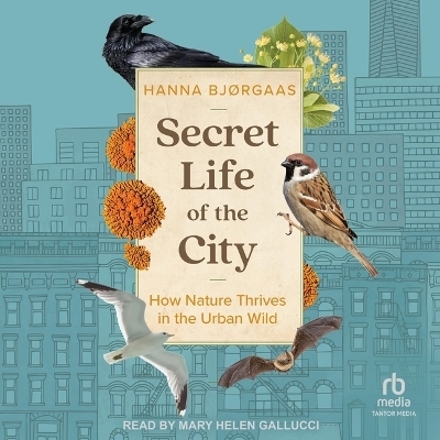 Secret Life of the City - Hanna Hagen Bjørgaas