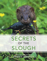 Secrets of the Slough - Dennis Monroe