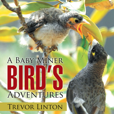 A Baby Miner Bird&rsquo;S Adventures - Trevor Linton