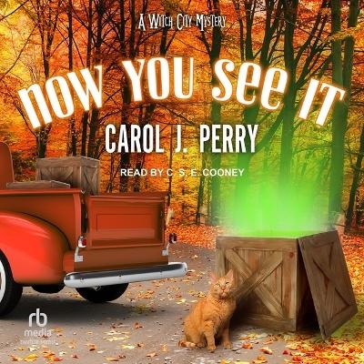 Now You See It - Carol J Perry