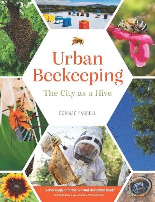 Urban beekeeping - Cormac Farrell