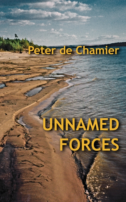 Unnamed Forces - Peter de Chamier