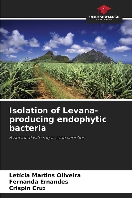 Isolation of Levana-producing endophytic bacteria - Let&iacute;cia Martins Oliveira, Fernanda Ernandes, Crispin Cruz