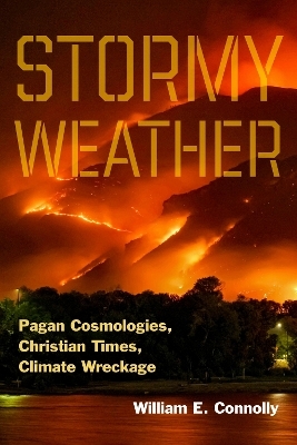 Stormy Weather - William E. Connolly