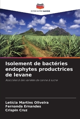 Isolement de bact&eacute;ries endophytes productrices de levane - Let&iacute;cia Martins Oliveira, Fernanda Ernandes, Crispin Cruz