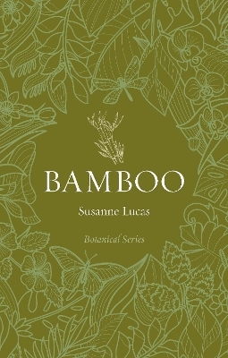 Bamboo