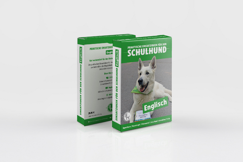 Praktische Einsatzideen für den Schulhund