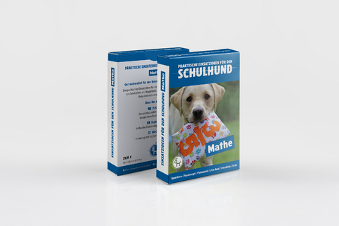 Praktische Einsatzideen für den Schulhund