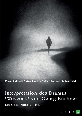 Interpretation des Dramas "Woyzeck" von Georg B&Atilde;&frac14;chner. Verschiedene Ans&Atilde;&curren;tze - Mara Galinski, Lisa-Sophie Roth, Hannah Gr&Atilde;&frac14;newald