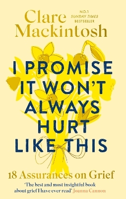 I Promise It Won't Always Hurt Like This - Clare Mackintosh