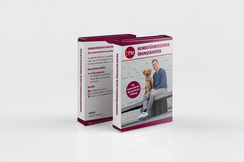Hundeführerschein Übungskarten