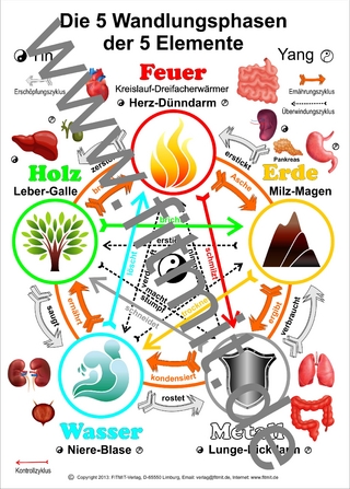 Die 5 Wandlungsphasen der 5 Elemente