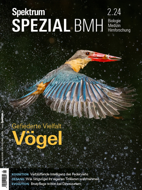 Spektrum Spezial BMH 2/2024 - V&ouml;gel