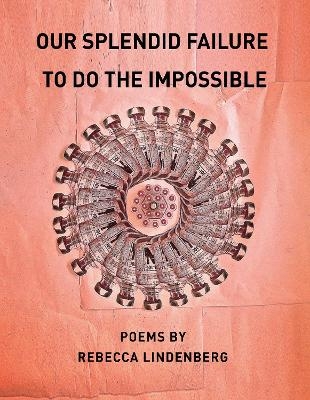 Our Splendid Failure to Do the Impossible - Rebecca Lindenberg