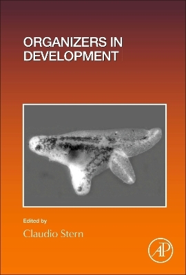 Organizers in Development - 