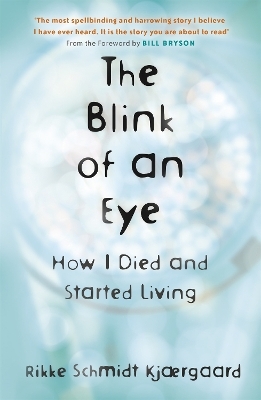 The Blink of an Eye - Rikke Schmidt Kj&aelig;rgaard