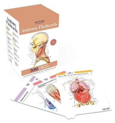 Anatomy Flashcards: 300 Flashcards with Anatomically Precise Drawings and Exhaustive Descriptions - Joanne Tillotson
