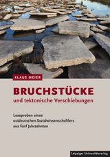 Bruchst&uuml;cke und tektonische Verschiebungen - Klaus Meier