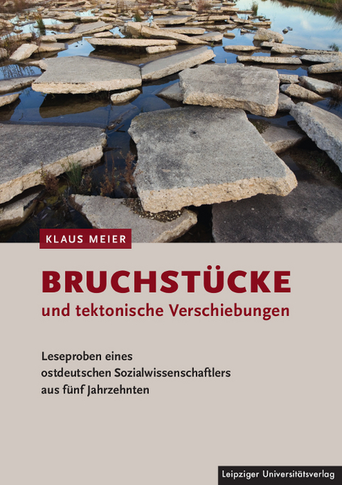Bruchst&uuml;cke und tektonische Verschiebungen - Klaus Meier