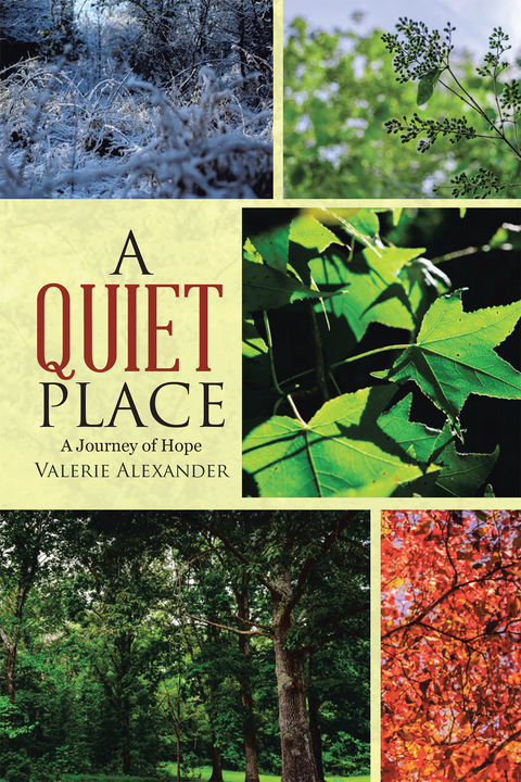 A Quiet Place - Valerie Alexander