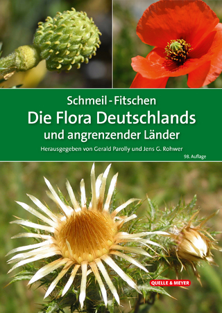 Die Flora Deutschlands und angrenzender Länder
