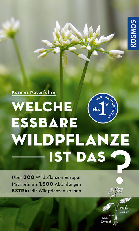 Welche essbare Wildpflanze ist das? - Christa Bastgen, Berko Schr&ouml;der, Zurlutter Stefanie