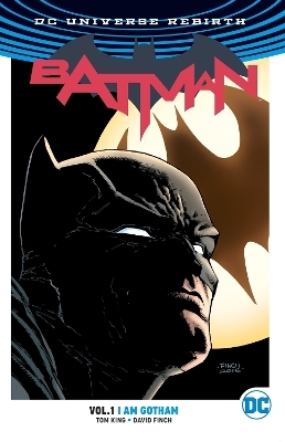 Batman Vol. 1: I Am Gotham - Tom King, Ivan Reis