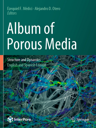 Album of Porous Media