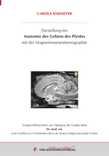 Darstellung der Anatomie des Gehirns des Pferdes mit der Magnetresonanztomographie - Carola Knemeyer