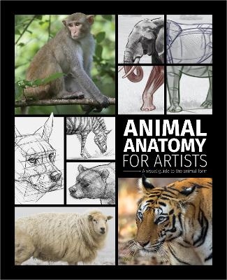 Animal Anatomy for Artists - 