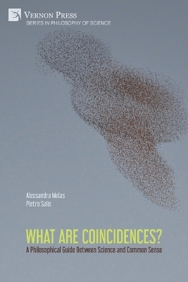 What are Coincidences? A Philosophical Guide Between Science and Common Sense