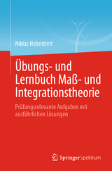 Übungs- und Lernbuch Maß- und Integrationstheorie - Niklas Hebestreit
