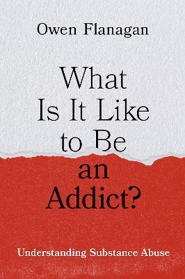 What Is It Like to Be an Addict?