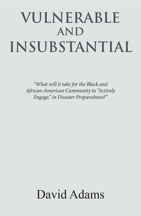 Vulnerable and Insubstantial - David Adams
