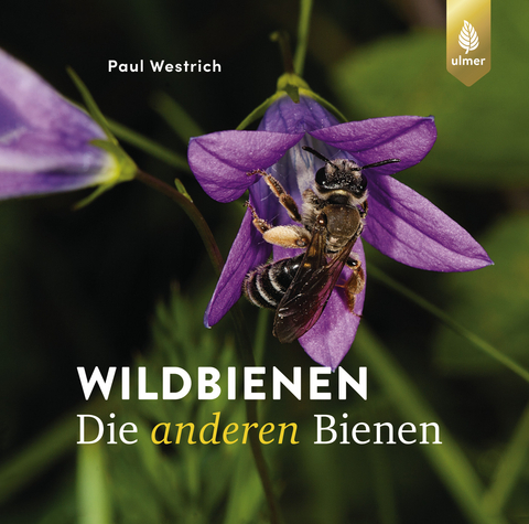 Wildbienen - Paul Westrich