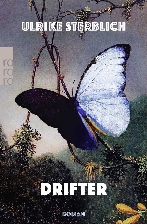 Drifter - Ulrike Sterblich