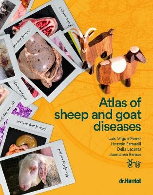 Atlas of Sheep and Goat Diseases - Luis Miguel Ferrer, Hossein Esmaeili, Delia Lacasta, Juan José Ramos