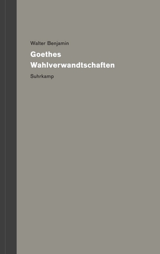 Werke und Nachlaß. Kritische Gesamtausgabe