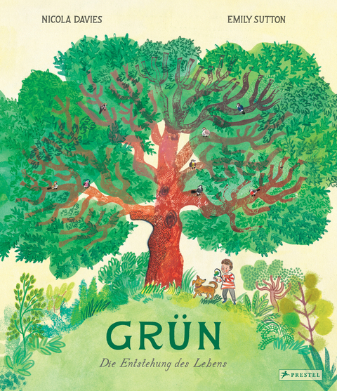 Gr&uuml;n - Nicola Davies, Emily Sutton