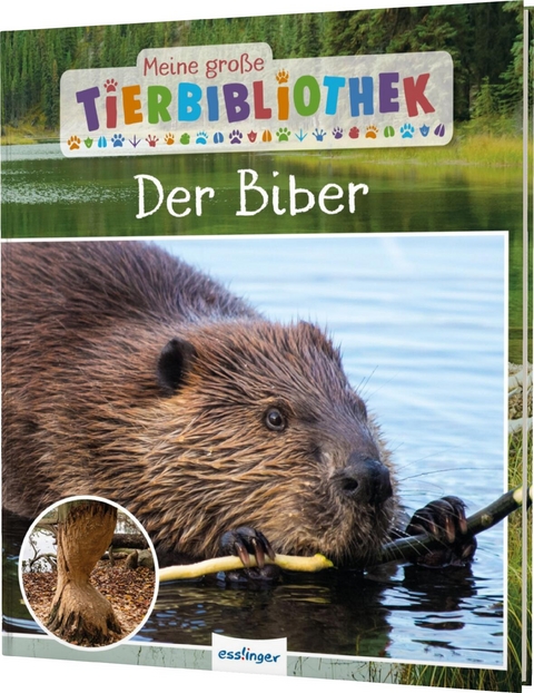 Meine gro&szlig;e Tierbibliothek: Der Biber - Axel Gutjahr