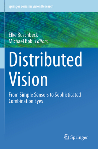 Distributed Vision