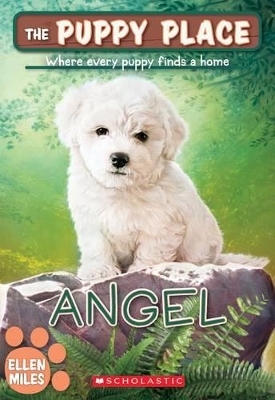 Angel (the Puppy Place #46)